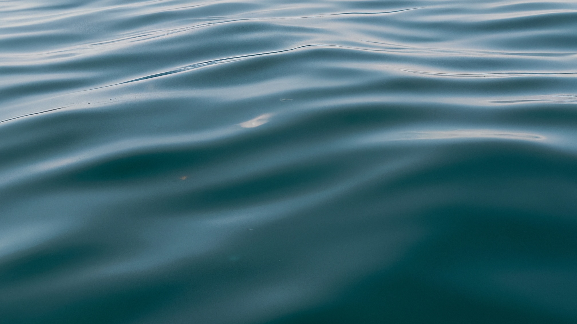 Water Quality Monitoring